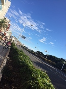 201511152download.jpg