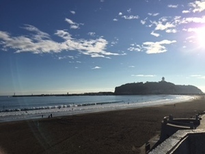 201511154download.jpg
