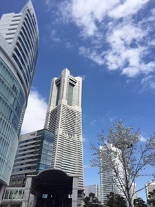 201603252.jpg