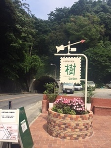 201607171.jpg