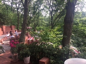 201607175.jpg
