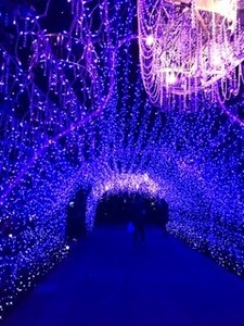 201702192download.jpg