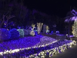 201702194download.jpg
